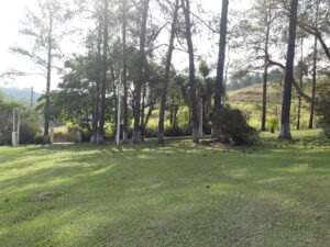 Recanto Das Borboletas - São Roque - campo
