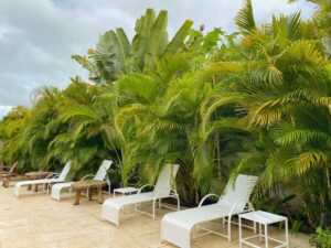 Pousada Fasani - Ilha de Boipeba - cadeiras de sol