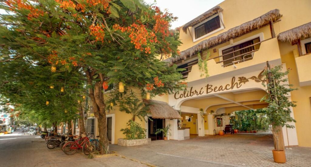 10. Hotel Colibri Beach